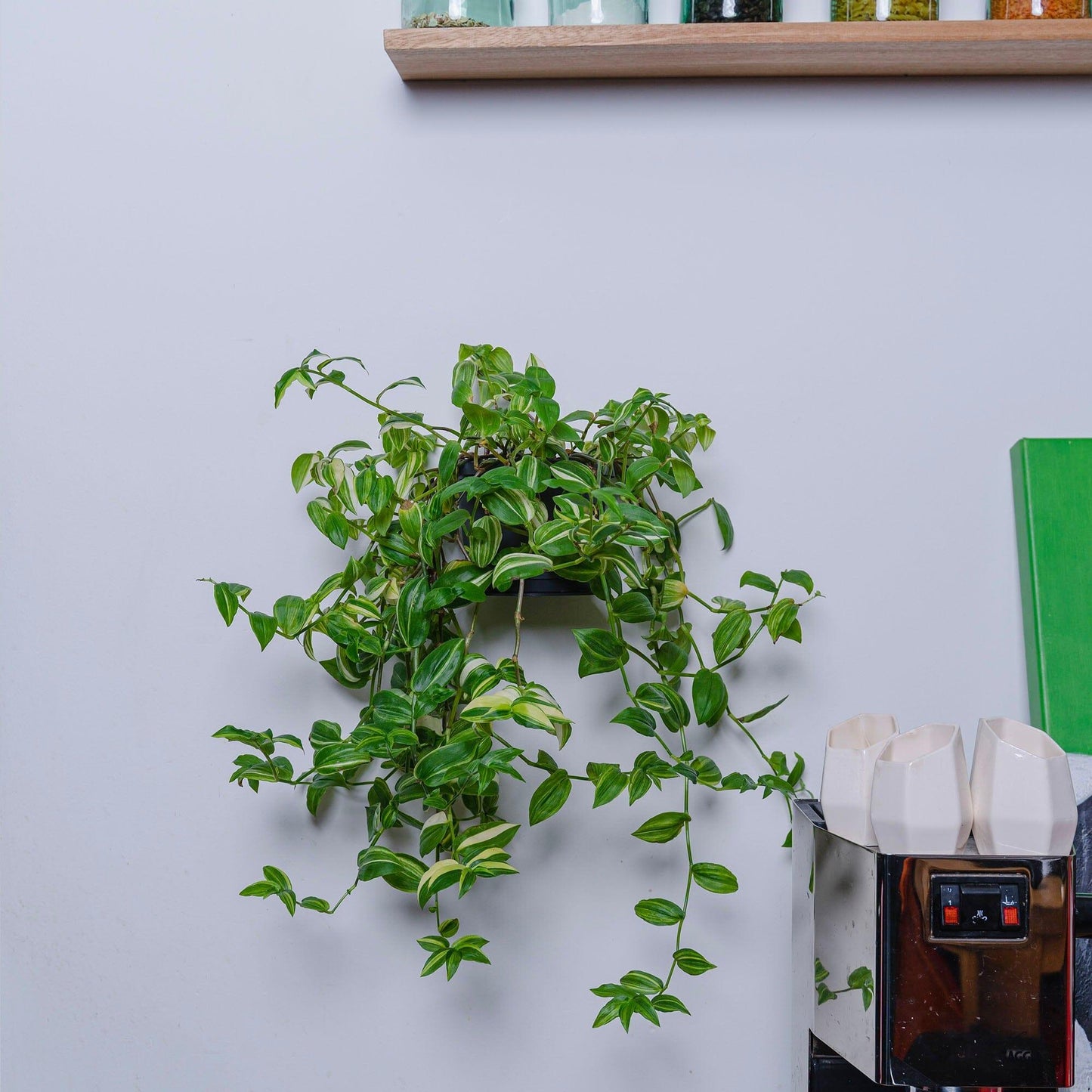 Befold plankje rond, 16cm, zwart My Store